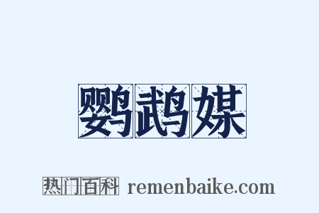 鹦鹉媒是什么意思的图片